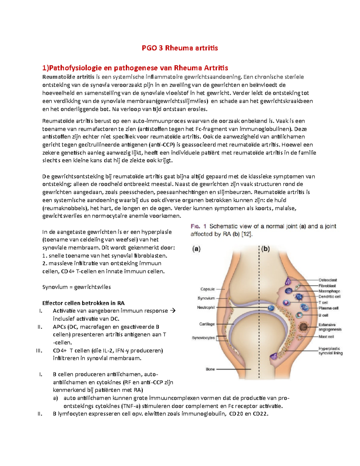 PGO 3 Rheuma Artritis - PGO 3 Rheuma Artritis 1)Pathofysiologie En ...