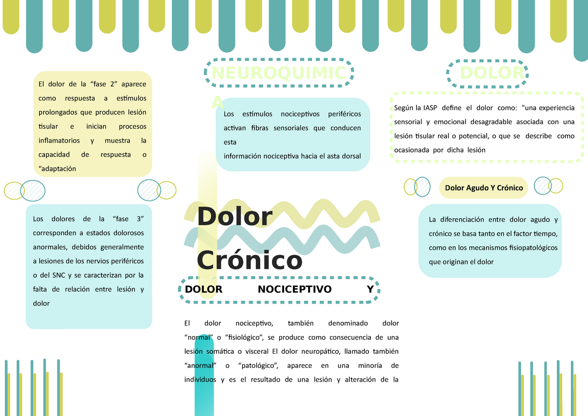 Mapa mental dolor cronico - Fisiopatologia - Universidad Franz Tamayo -  Studocu