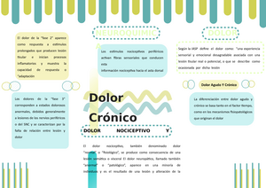 Mapa mental dolor cronico - Fisiopatologia - Universidad Franz Tamayo -  Studocu