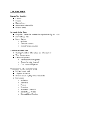 Kinesiology - This is an overview of the leg and knee, the boney ...