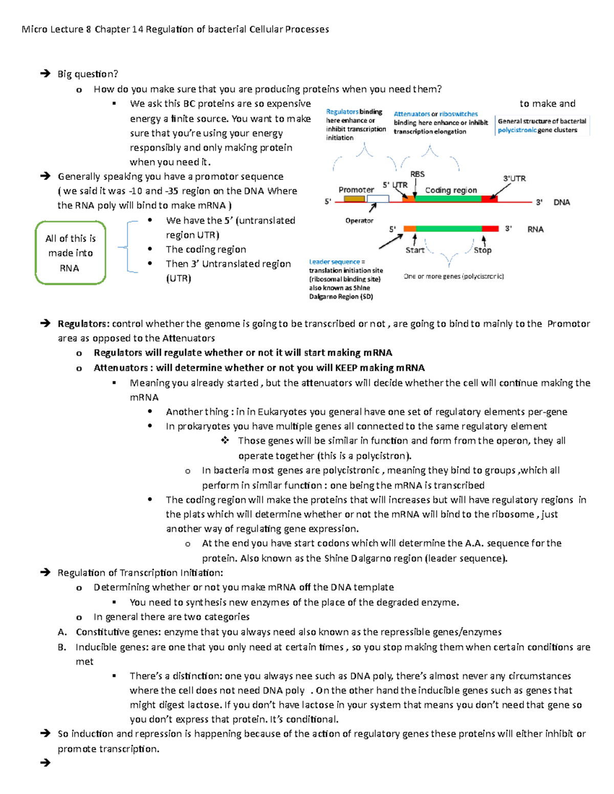 Micro Lecture 8 Chapter 14 Regulation Of Bacterial Cellular Processes ...