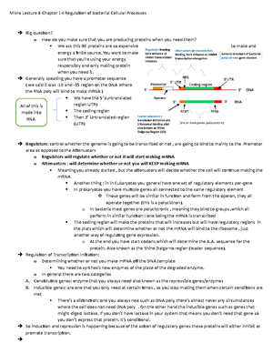 Bacterial Transformation Exercise - General Microbiology Laboratory ...