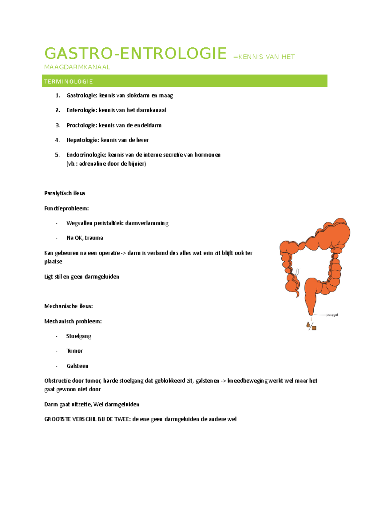 Menselijk Spijsverterings Van De De Darmanatomie Van Systeemdarmen Het Maagdarmkanaal Diagram Vlakke Stijl Image111727115