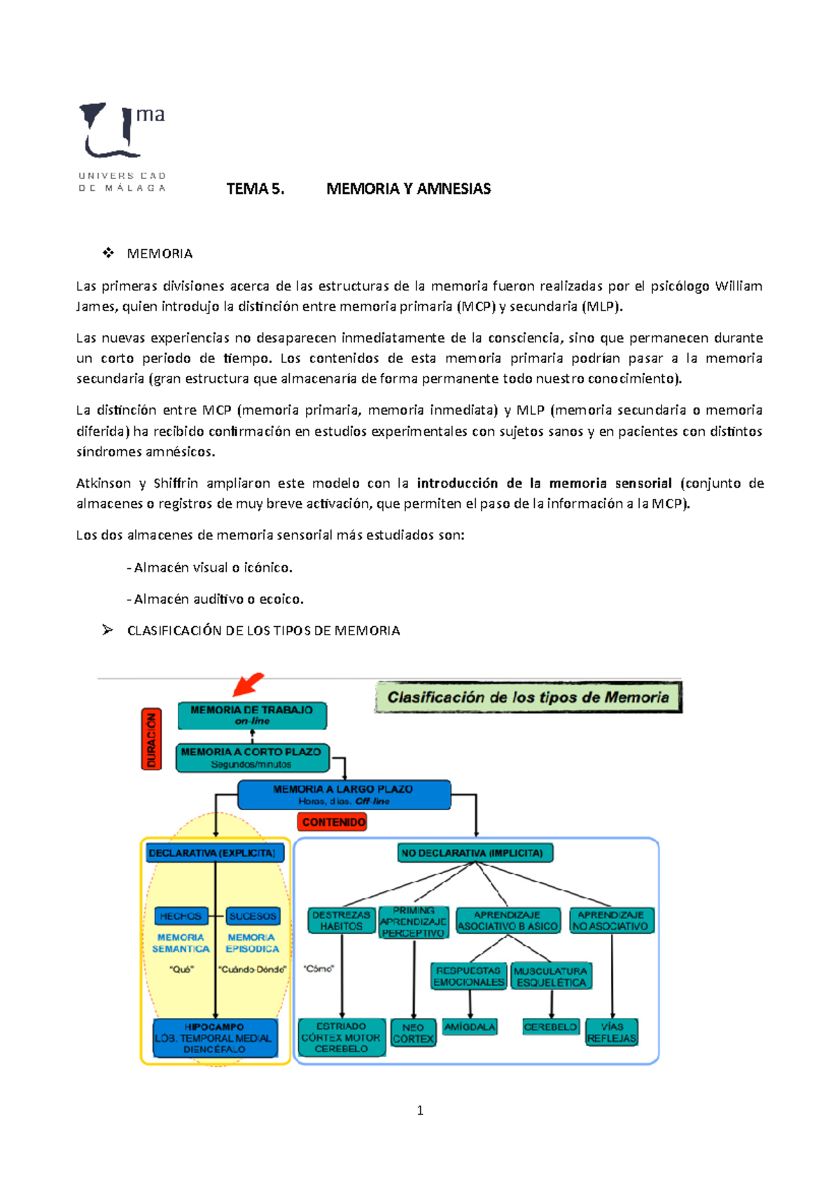 TEMA 5 Memoria Y Amnesias TEMA 5 MEMORIA Y AMNESIAS MEMORIA Las