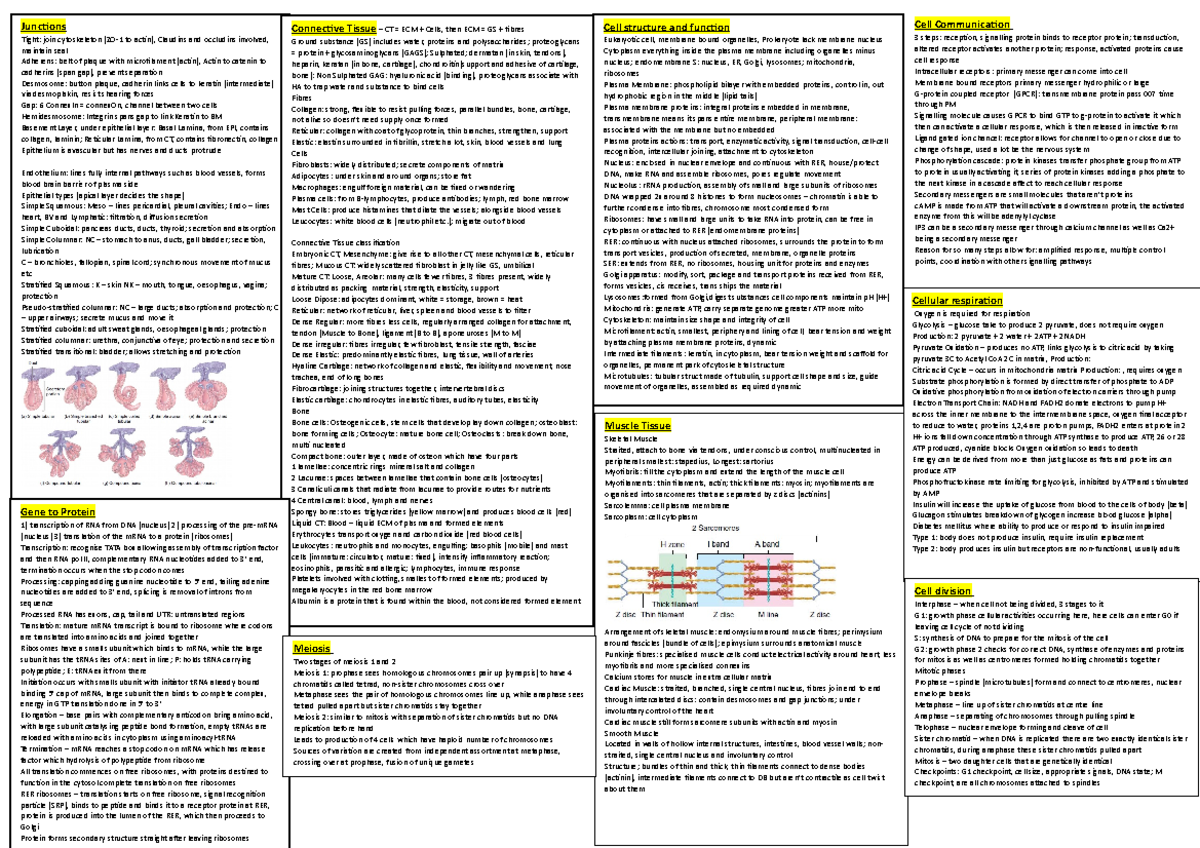 Biosci Mid-term a4 - Cheat sheet - Cell structure and function ...