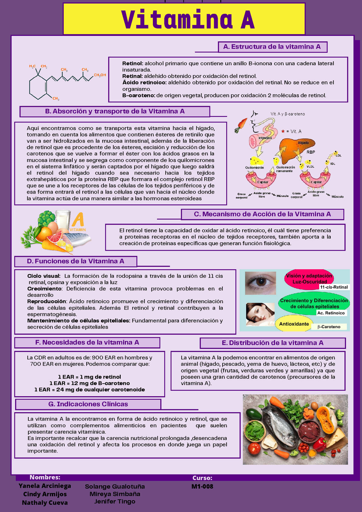 Vitamina A - B. Absorción Y Transporte De La Vitamina A C. Mecanismo De ...