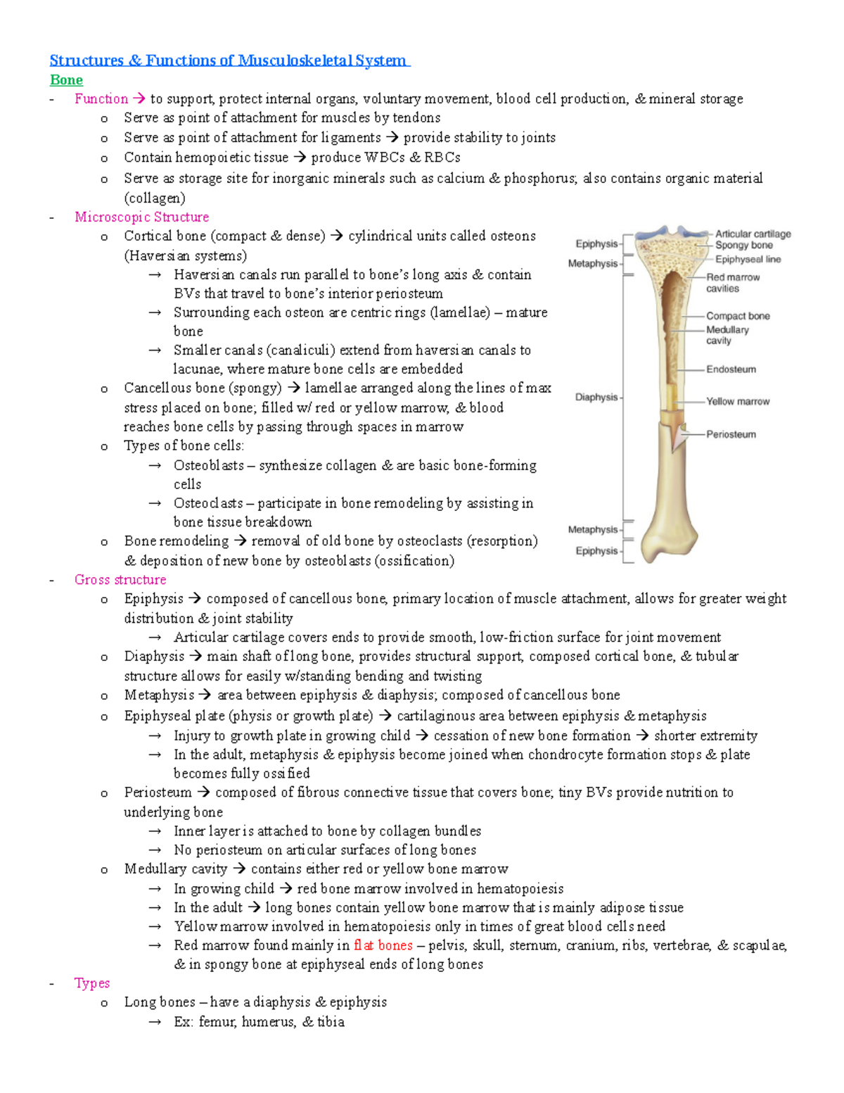 Chapter 61 notes - ortho/neuro - Structures & Functions of ...