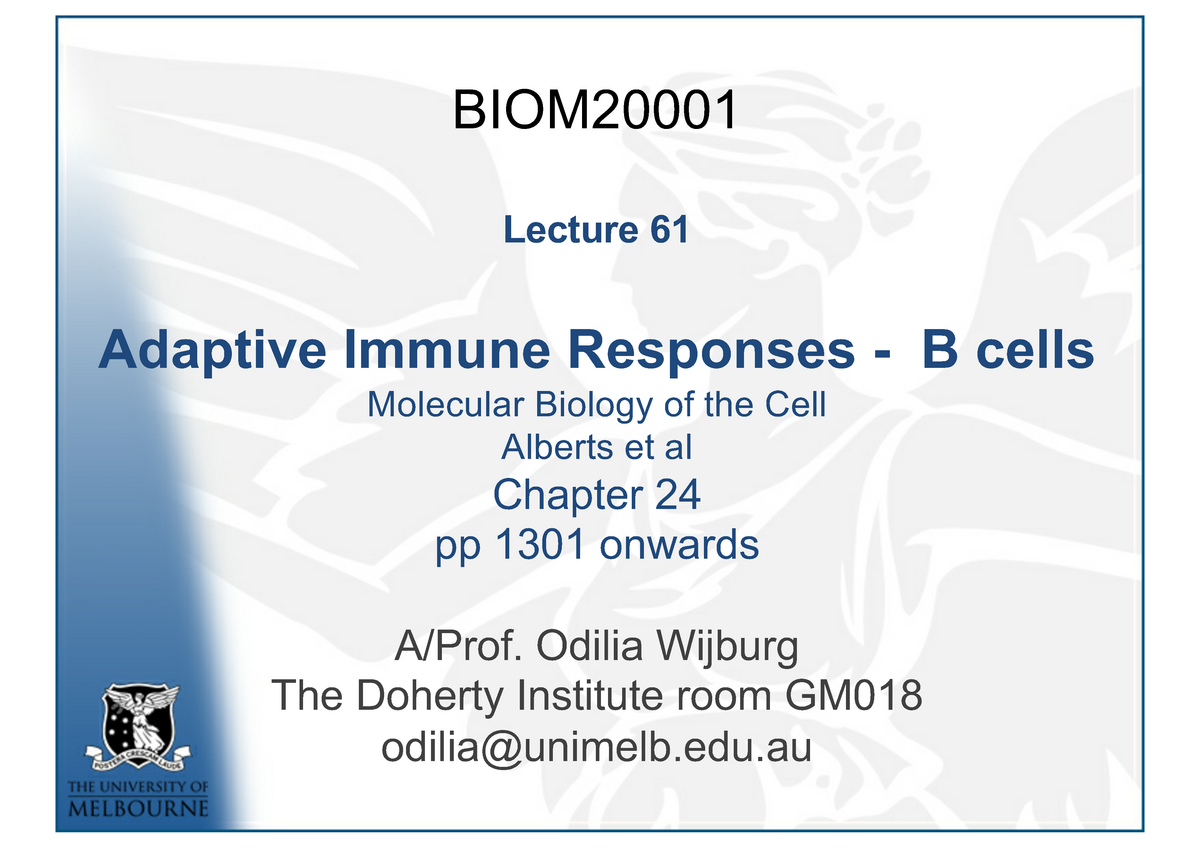 Lect 61 Adaptive Immunity B Cells 2019 - Lecture 61 Adaptive Immune ...