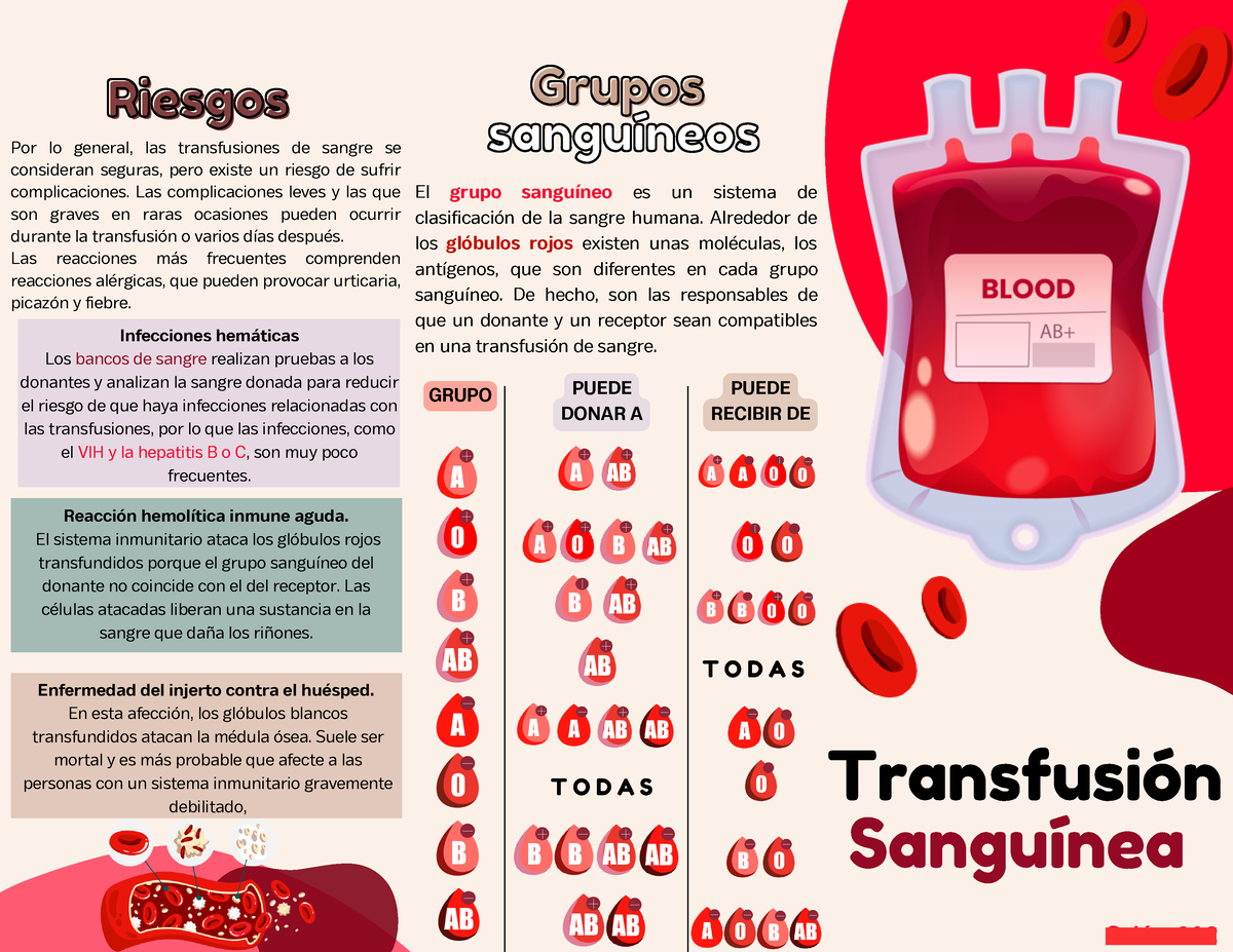 Triptico Transfusion Sanguinea Isste El Grupo Sangu Neo Es Un Sistema ...