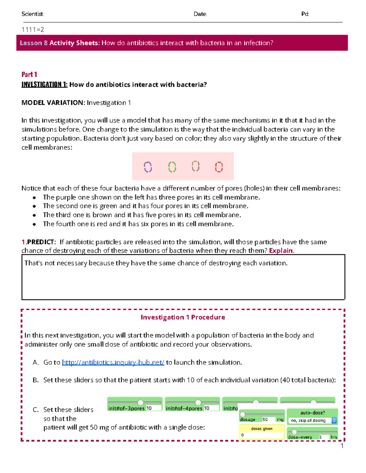 Copy of L8 Activity Sheet How do antibiotics interact with bacteria in ...