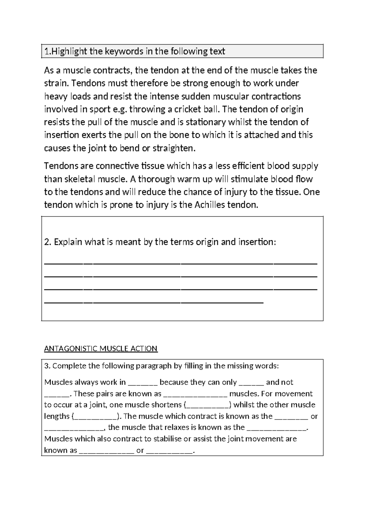 Muscles worksheet - 1 the keywords in the following text As a muscle ...