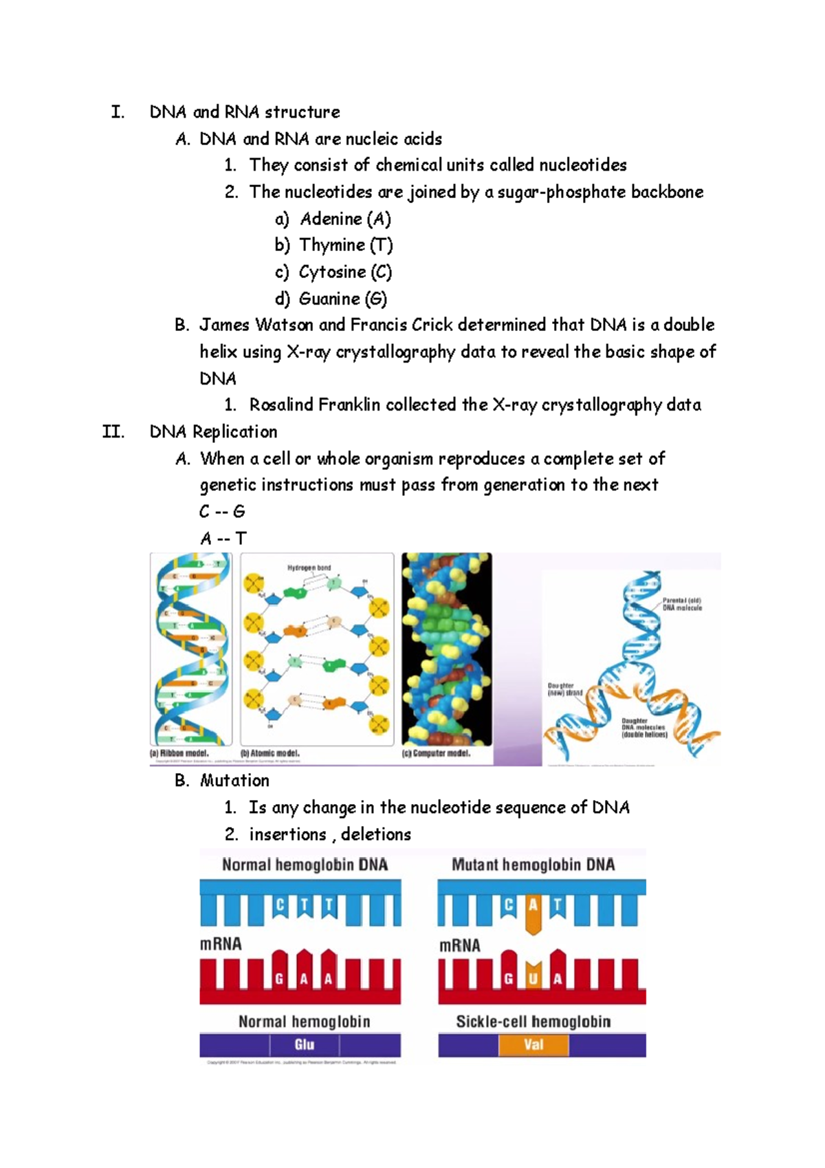 Chapter 10 Lecture Notes I. DNA and RNA structure A. DNA and RNA are