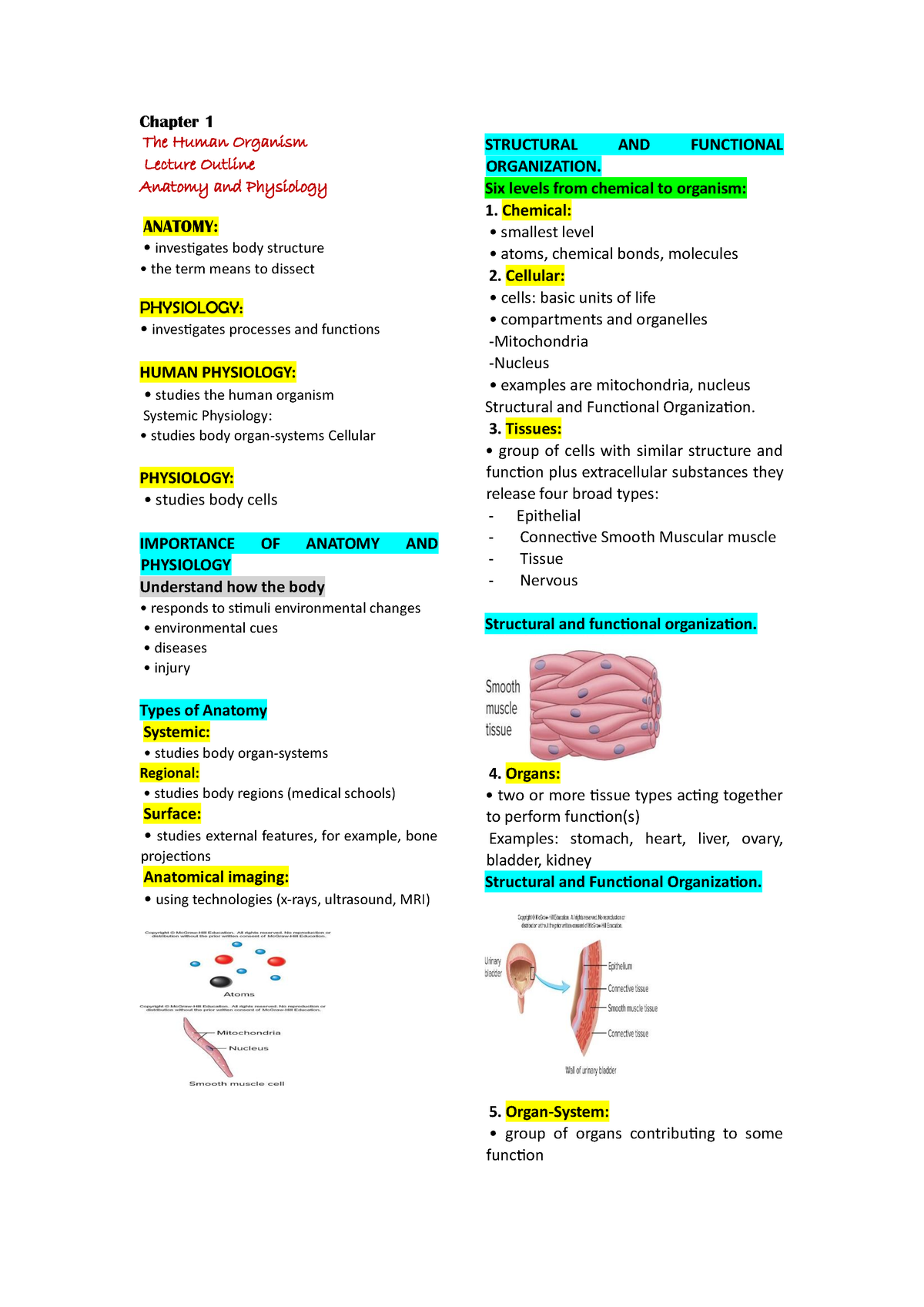 MY- Reviewer- Anaphy - Chapter 1 The Human Organism Lecture Outline ...