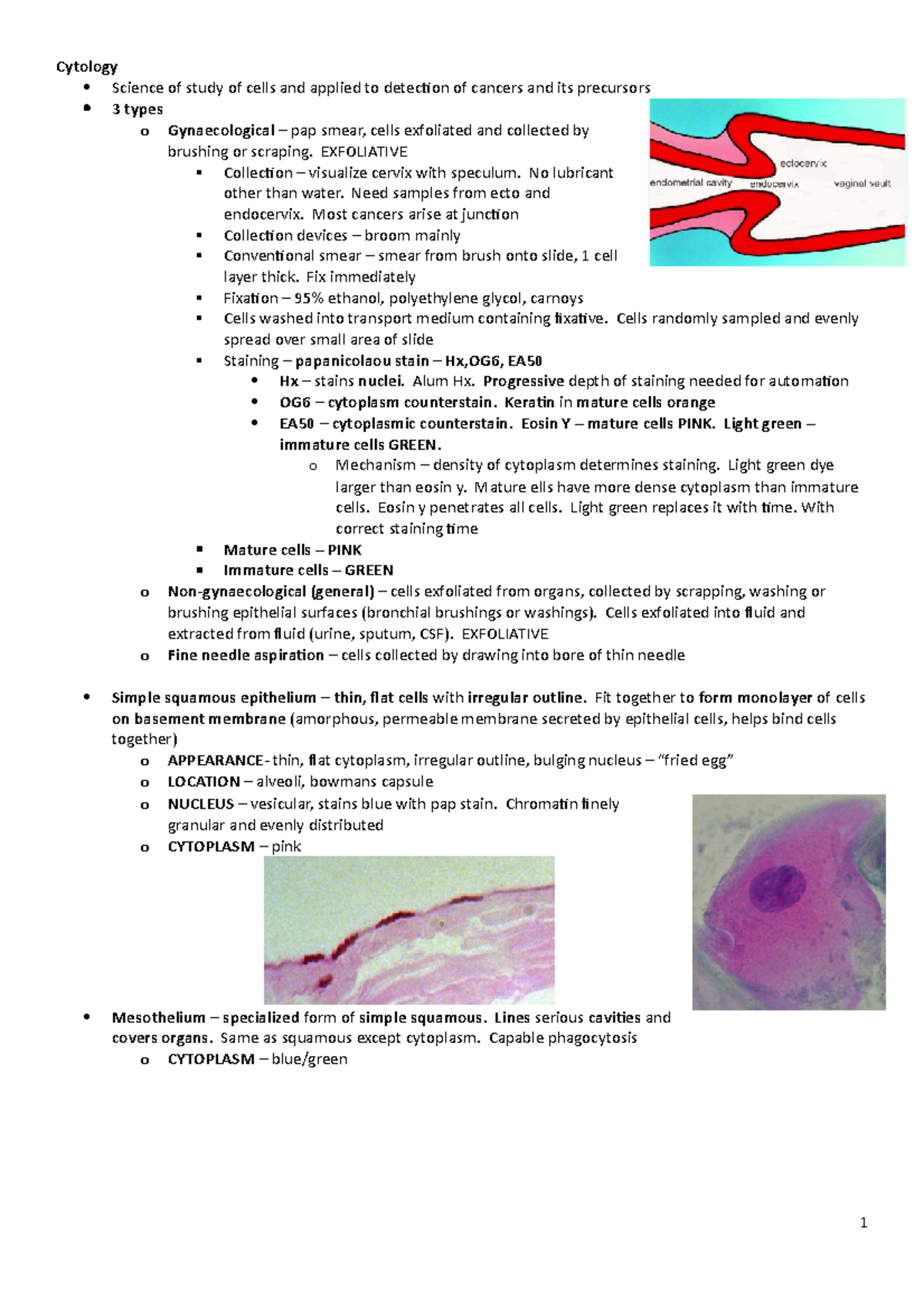 Histopath Summary Notes - Cytology Science Of Study Of Cells And ...