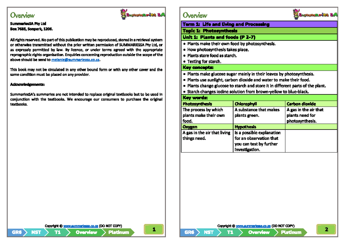 A Summaries Grade 6 Natural Sciences and Technology Platinum Term 1 ...