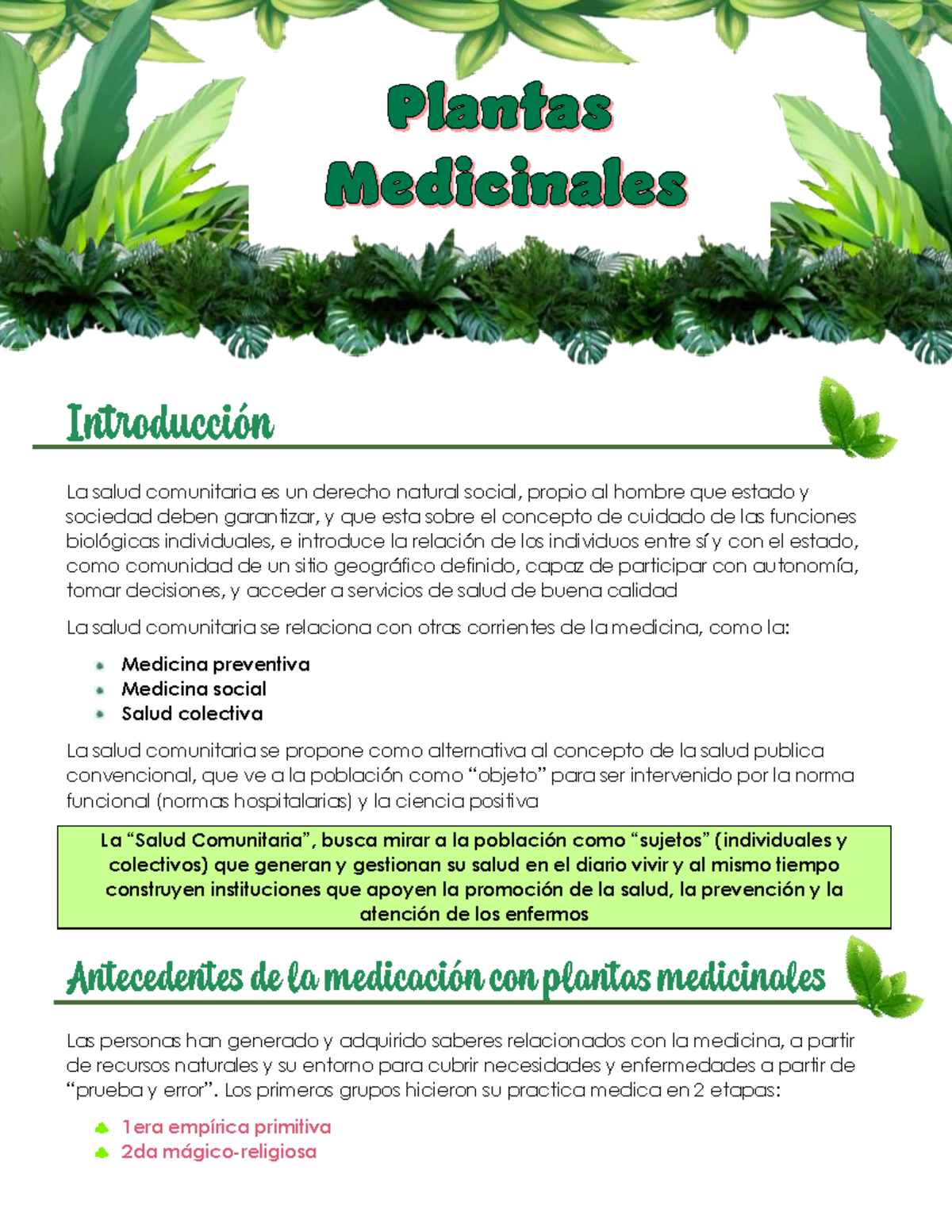 Plantas medicinales ACSVI - La salud comunitaria es un derecho natural ...
