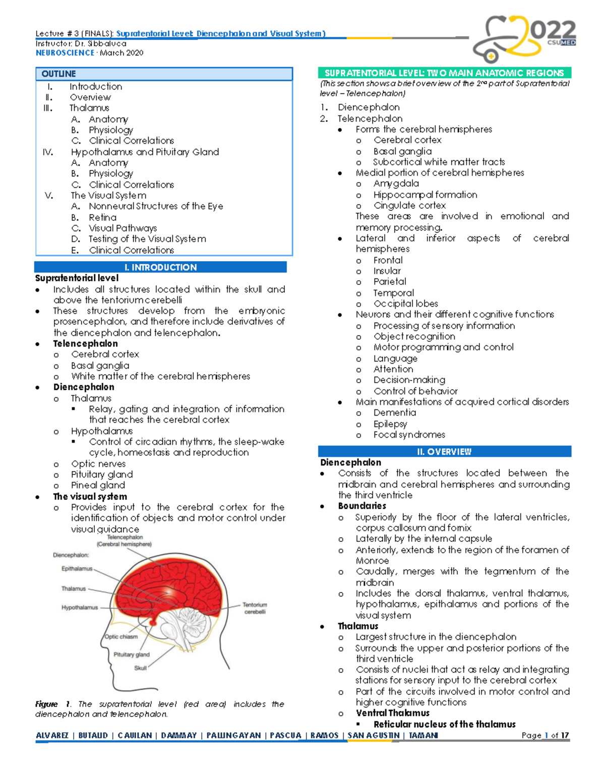 2022 Neuroscience S3T3 Supratentorial Level Diencephalon and Visual ...