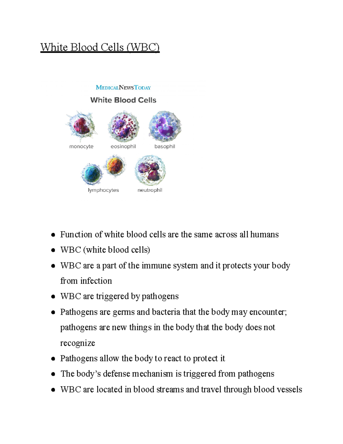 What Is A Normal White Blood Cell Number