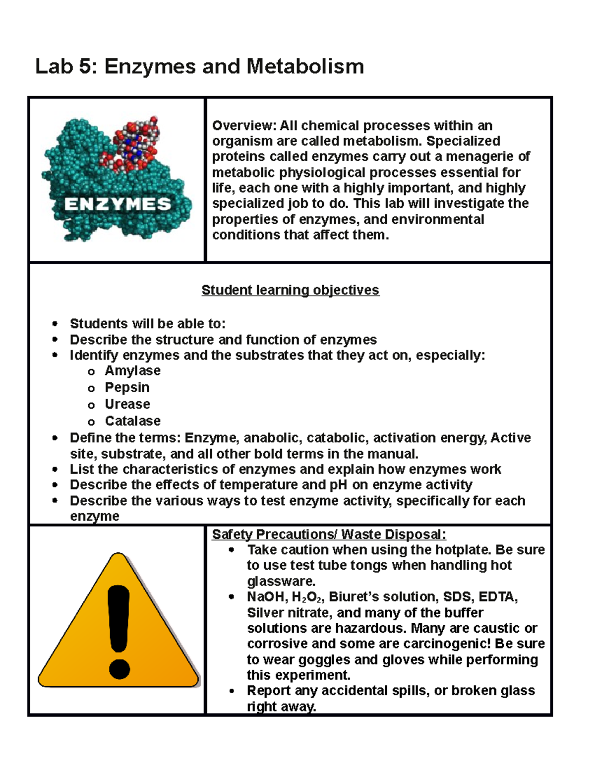 Lab 5 1406 Modified For Online - Lab 5: Enzymes And Metabolism Overview ...