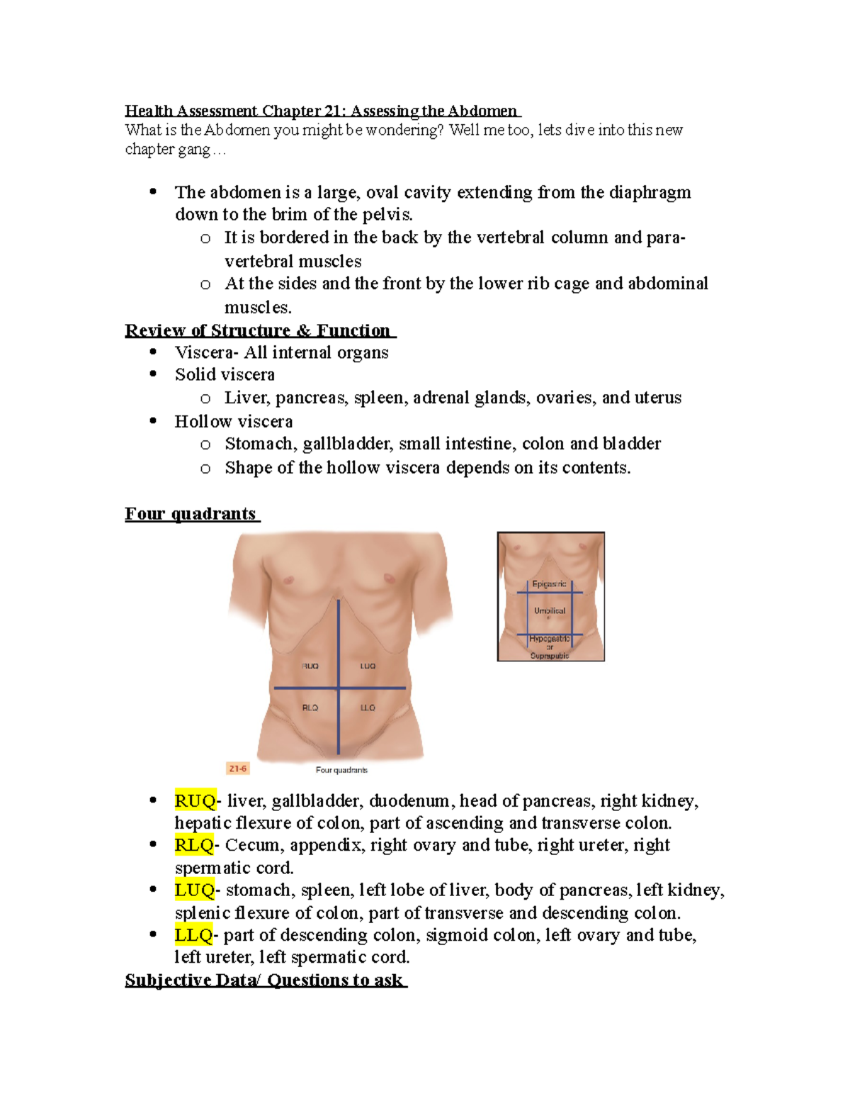 Assessing The Abdomen Quizlet - 7zowyit