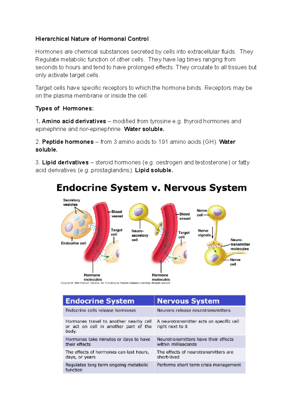 Hierarchical Nature of Hormonal Control - Hierarchical Nature of ...