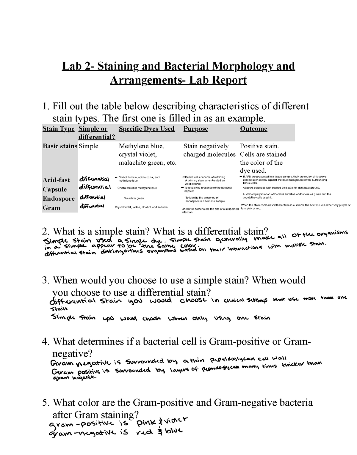 Lab 2- Staining And Bacterial Morphology And Arrangments- Lab Report 2. ...