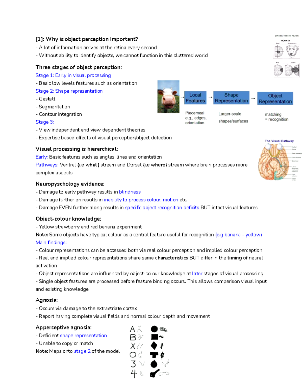 Week 12 Shape and Object perception & Multisensory Integration - [1 ...