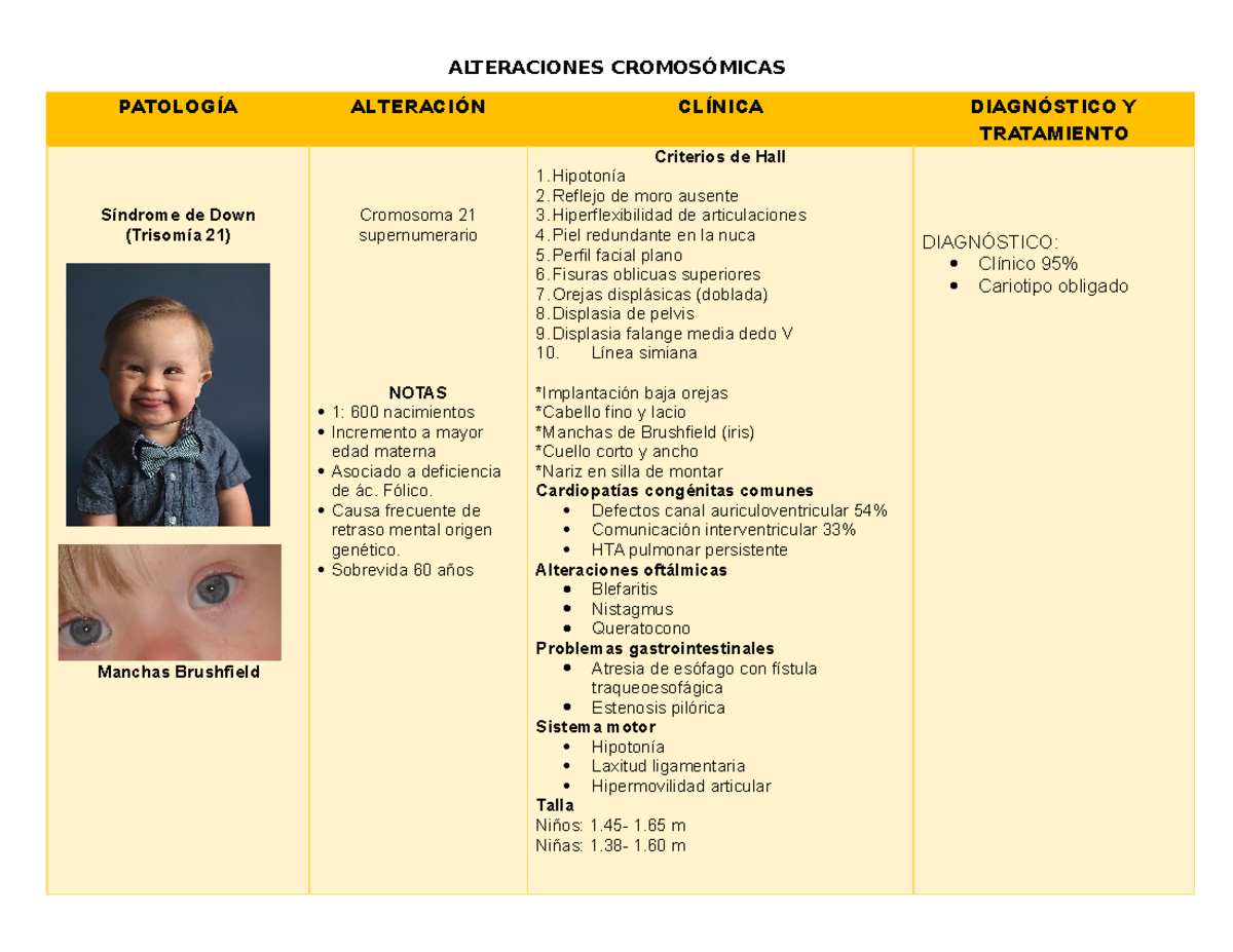 Alteraciones Cromosómicas - ALTERACIONES CROMOSÓMICAS PATOLOGÍA ...