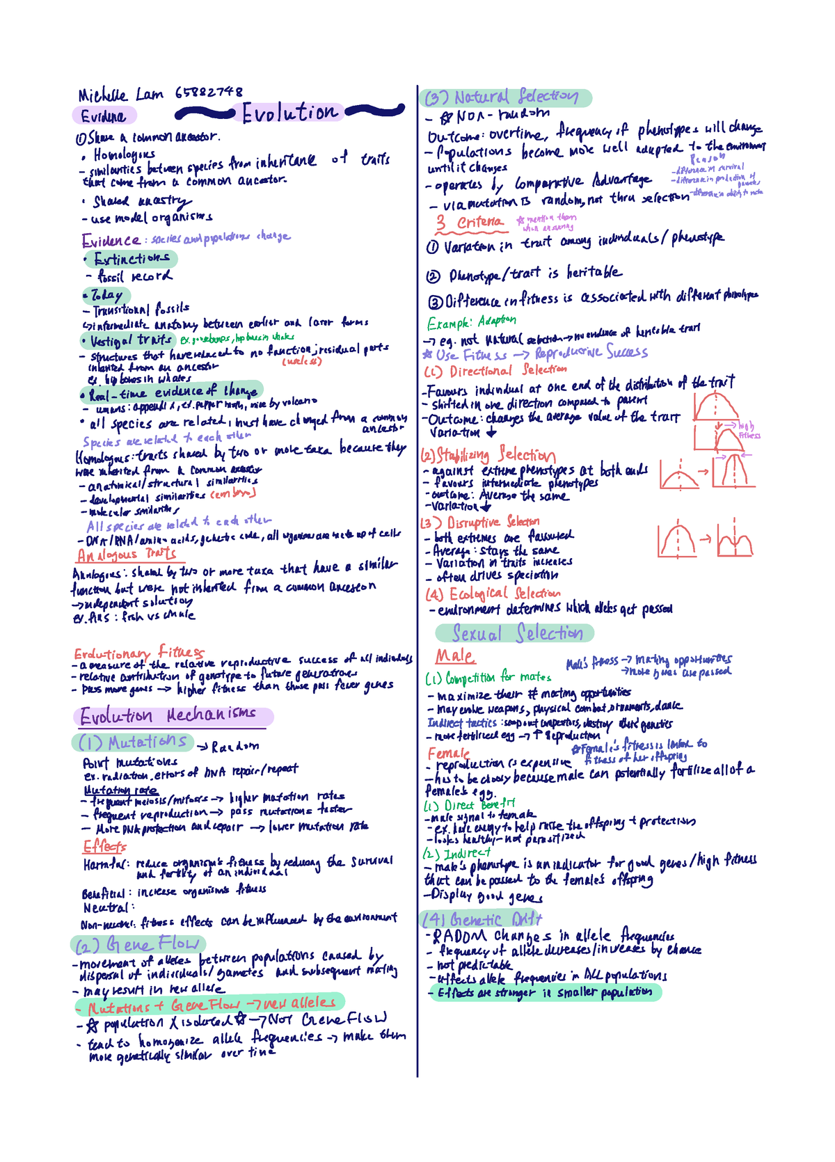 BIOL 121 midterm 2 Cheat sheet - BIOL 121 - Studocu