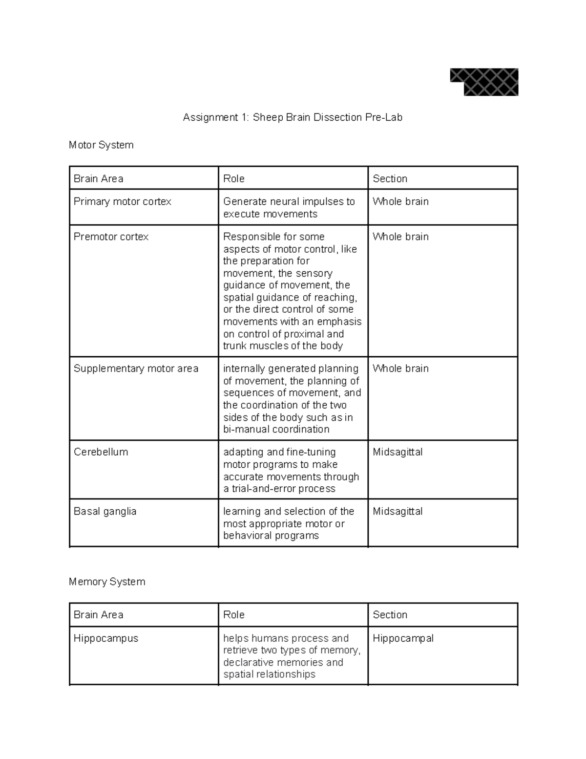 psych-430-assignment-1-pre-lab-assignment-1-sheep-brain-dissection-pre-lab-motor-system-brain