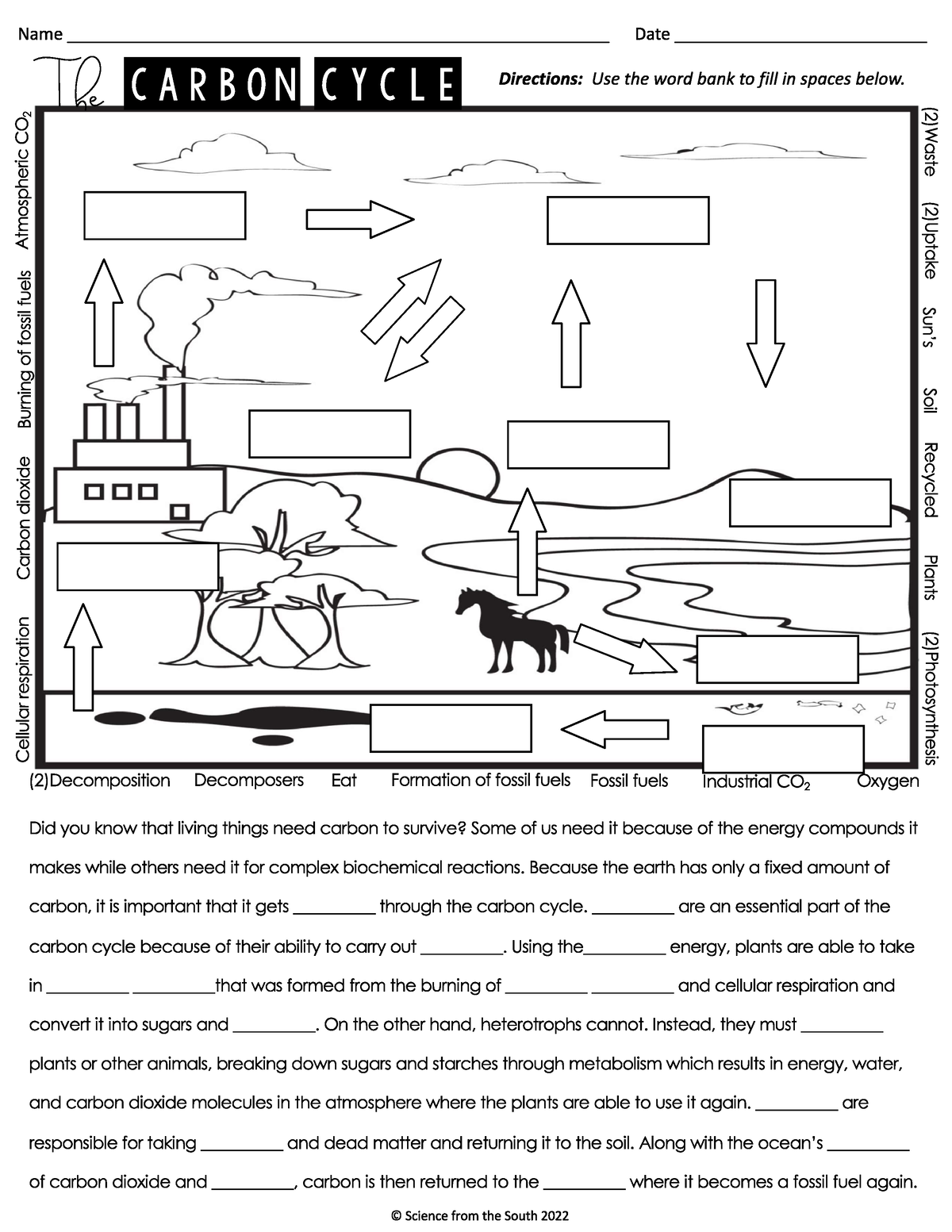 Carbon cycle cloze read - Studocu