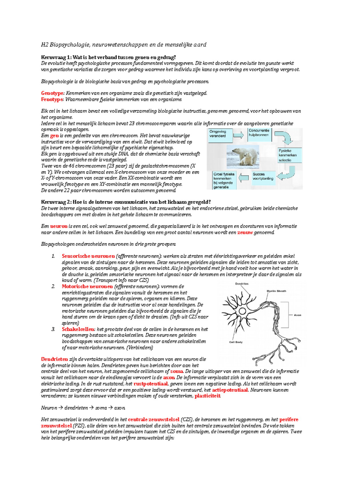 Samenvatting Biopsychologie H2,6,8,9,10 - H2 Biopsychologie ...