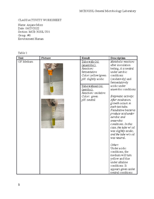 Spring 2023 General Micro Lab 10-11 Kirby Bauer Antibiotic Assay - Lab ...