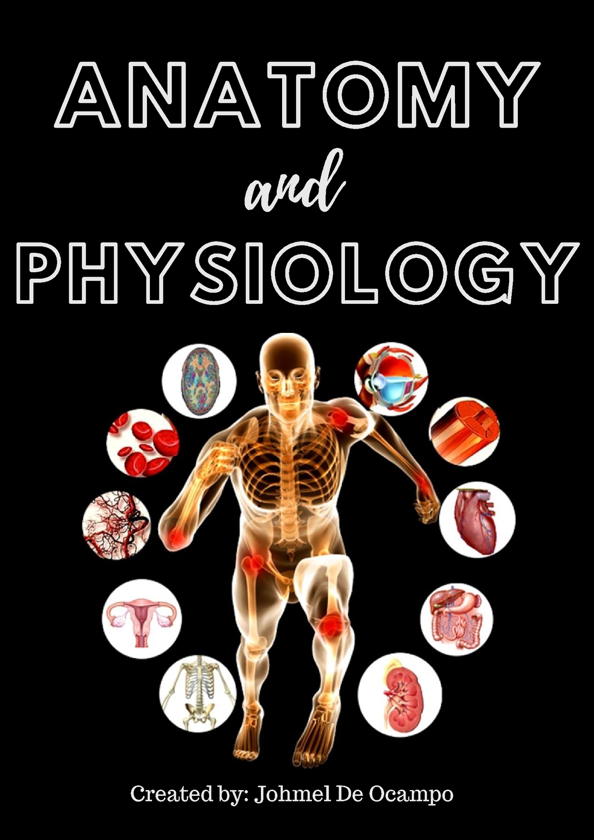 Anatomy Physiology Cover Page - Nursing - ANATOMY PHYSIOLOGY and ...