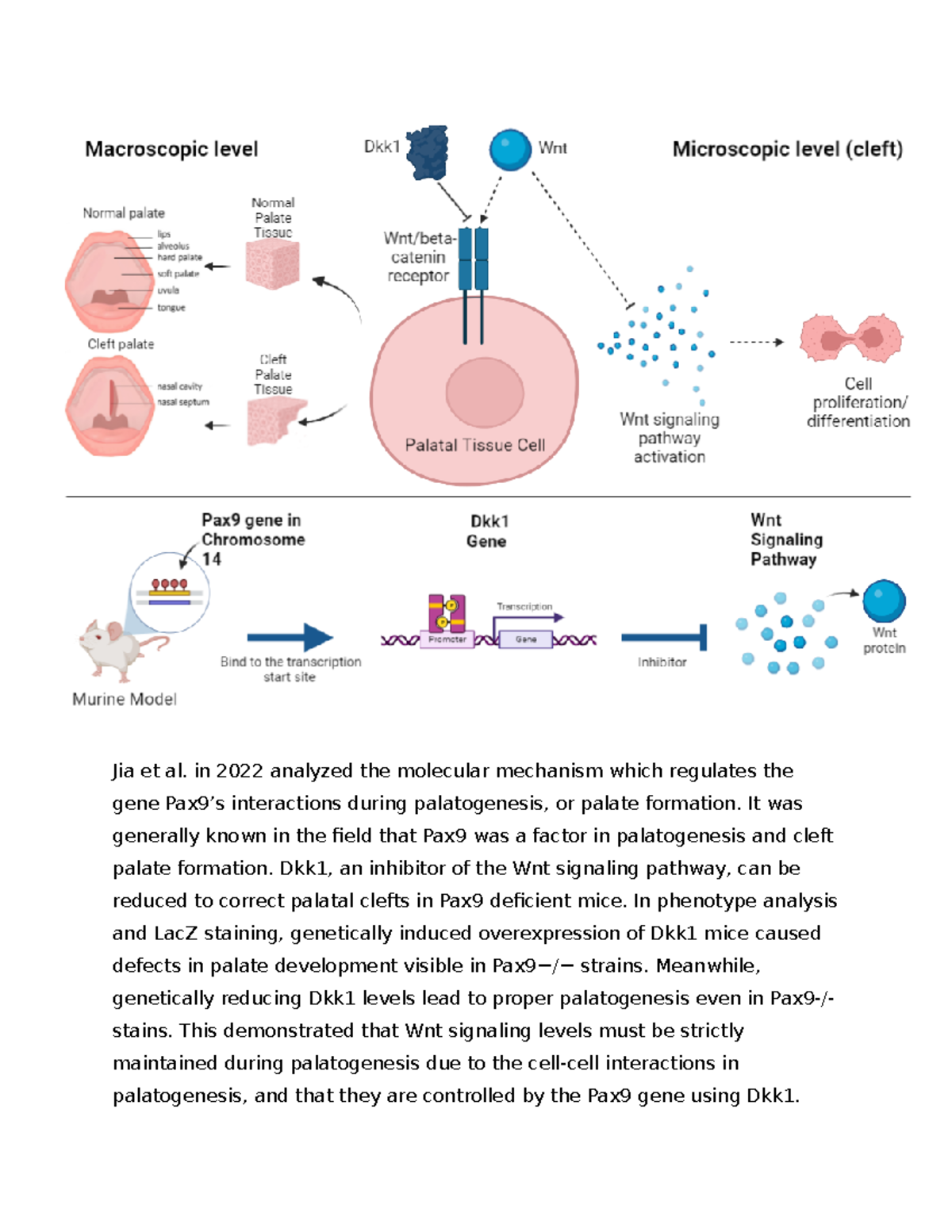 Graphical Abstract - Jia et al. in 2022 analyzed the molecular ...