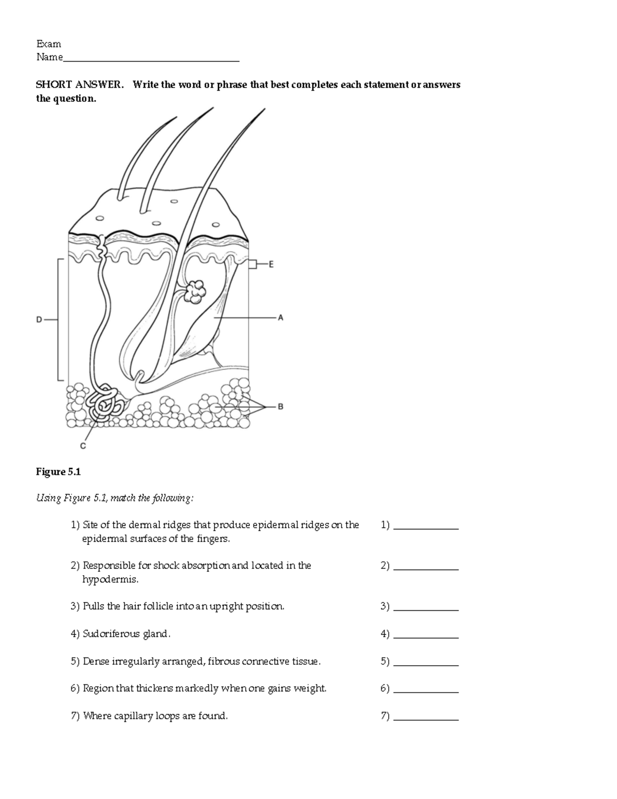 Ch 05 - Chapter 5 Test Bank - Exam Name ...