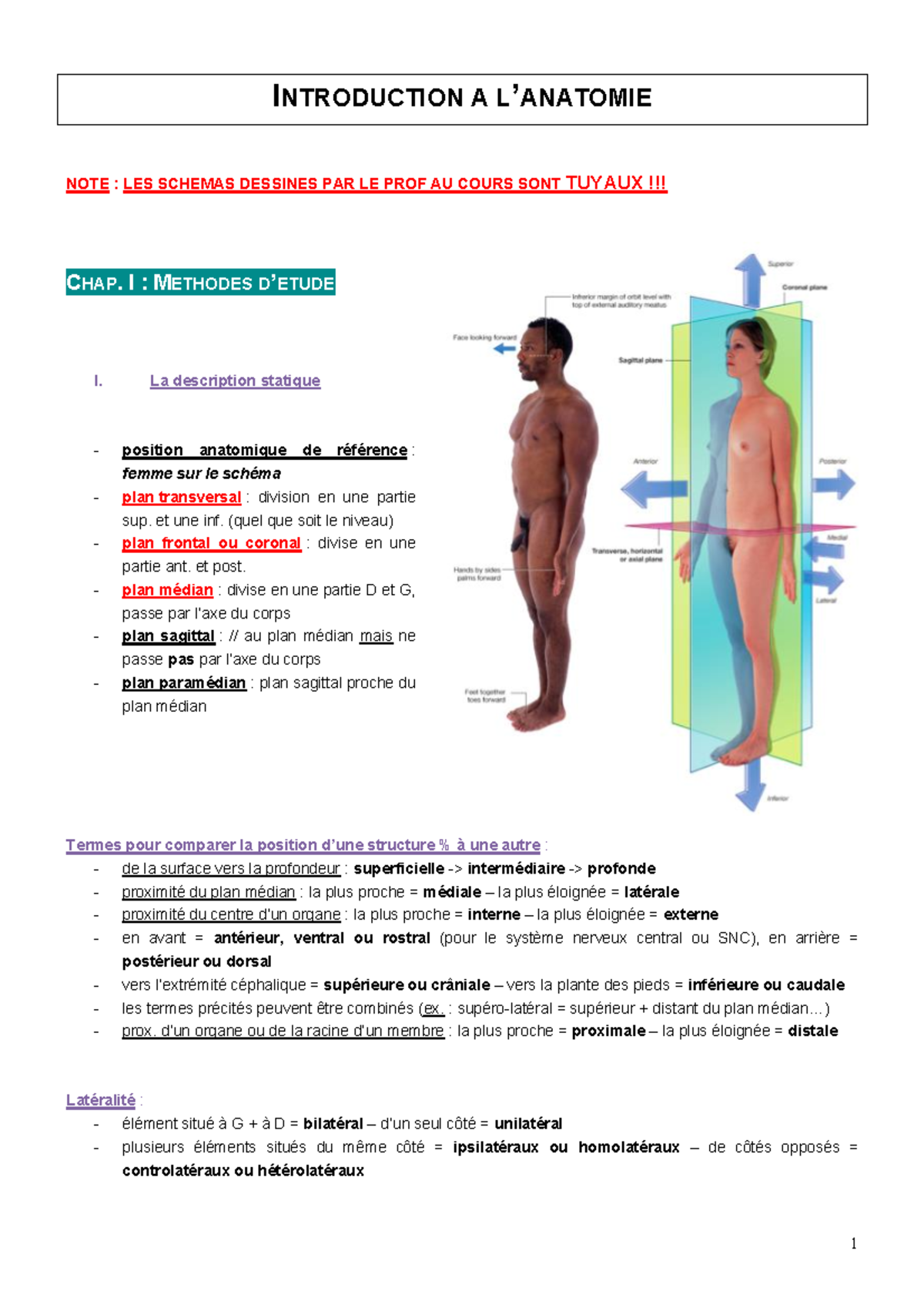 Synthese Anat - Synthèse Complète Du Cours D'anatomie Pathologie ...