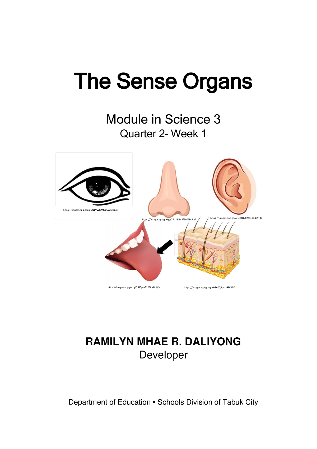 Passed-1370-13-21 Melcs-Tabuk City The sense organs - The Sense Organs ...