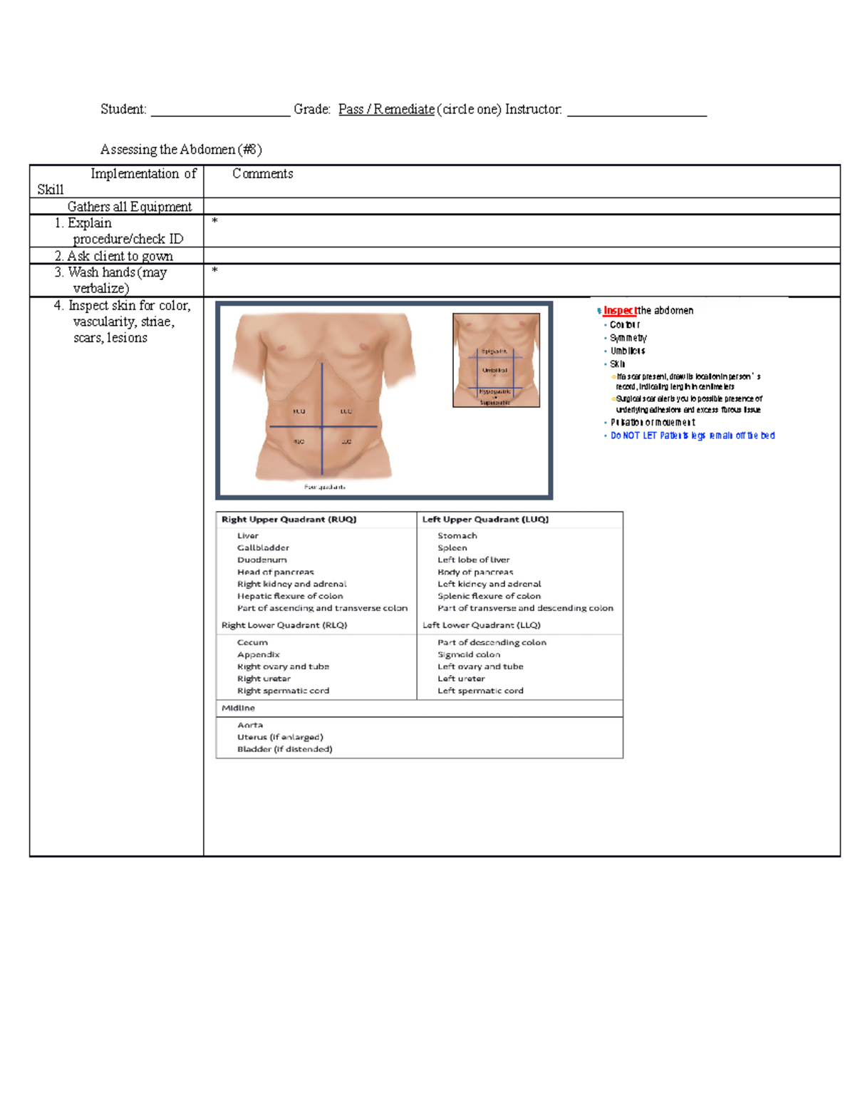 Assessing The Abdomen Quizlet - cnr8i4x