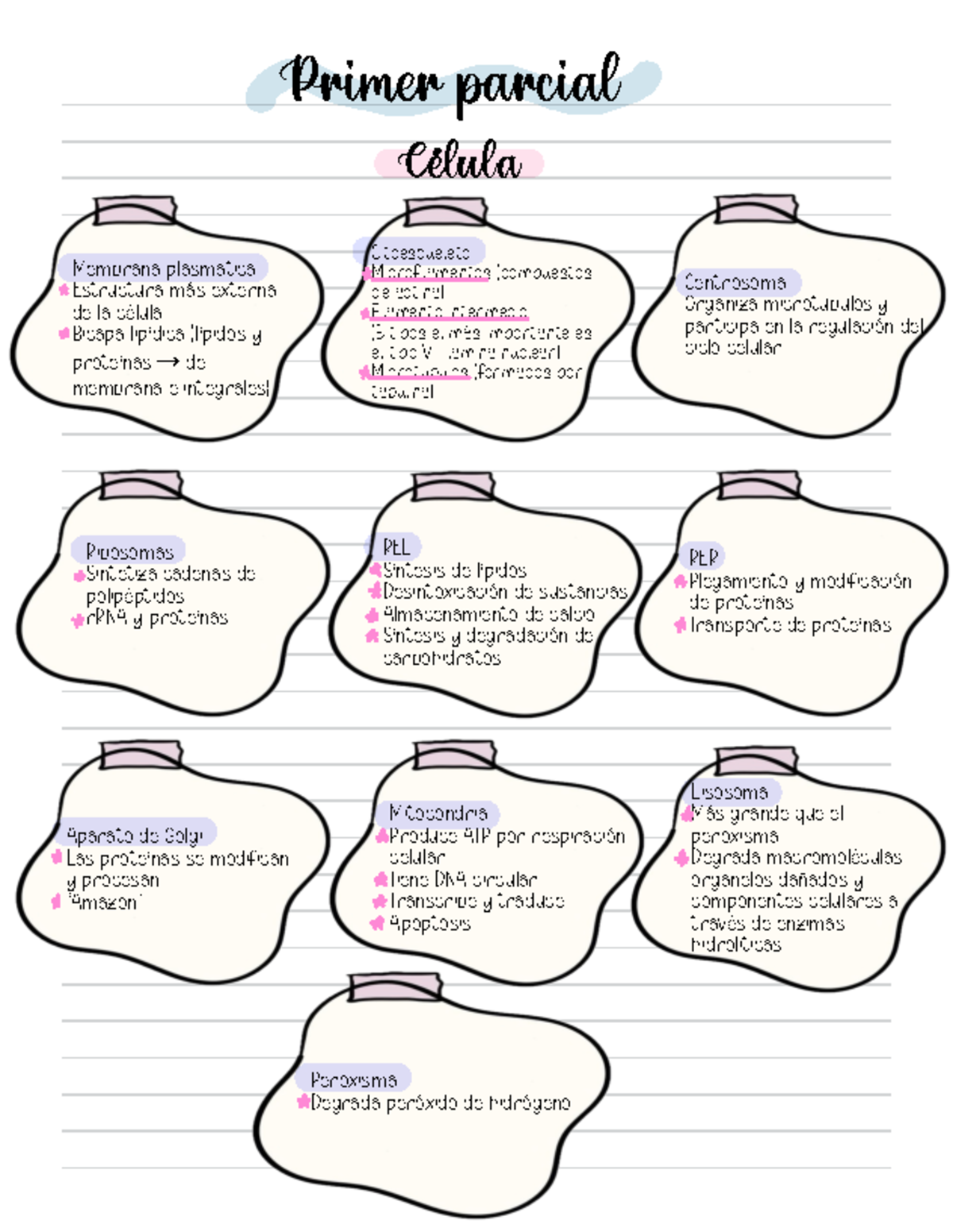 Biomole resumen primer parcial Deisy - Primer parcial Celula Membrana ...