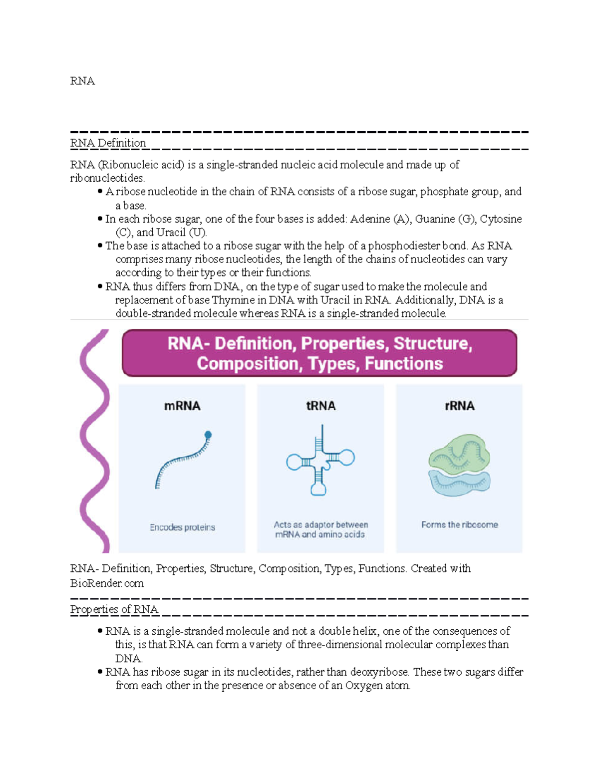 RNA notes RNA RNA Definition RNA (Ribonucleic acid) is a single