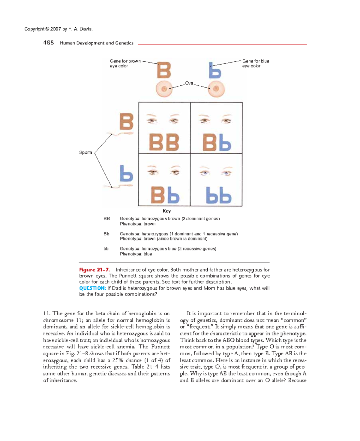 Anaphy 3 - Textbook by Valerie Scanlon and Tina Sanders - 11. The gene ...