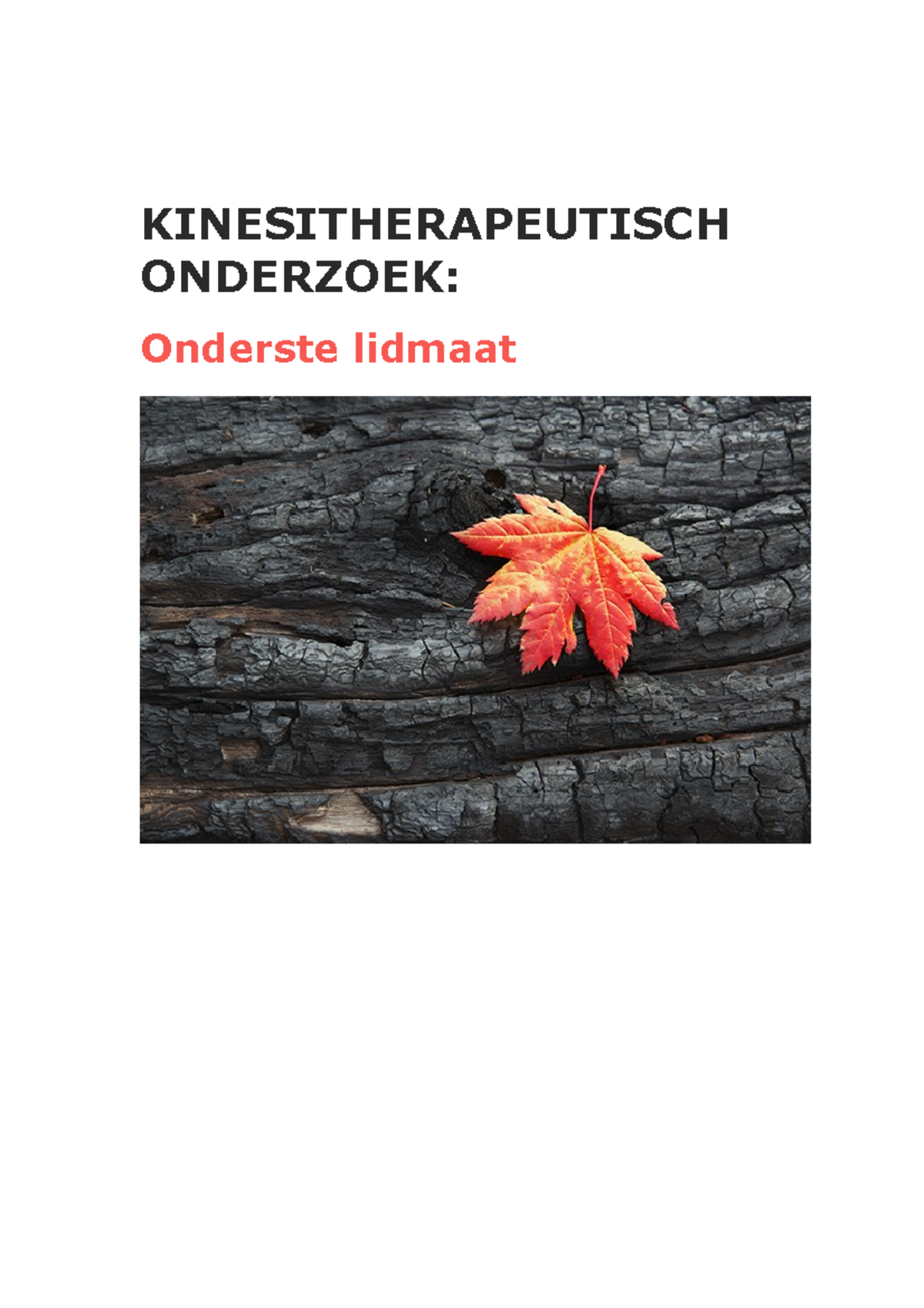 Kinesitherapeutisch Onderzoek - OL - Heup - KINESITHERAPEUTISCH ...