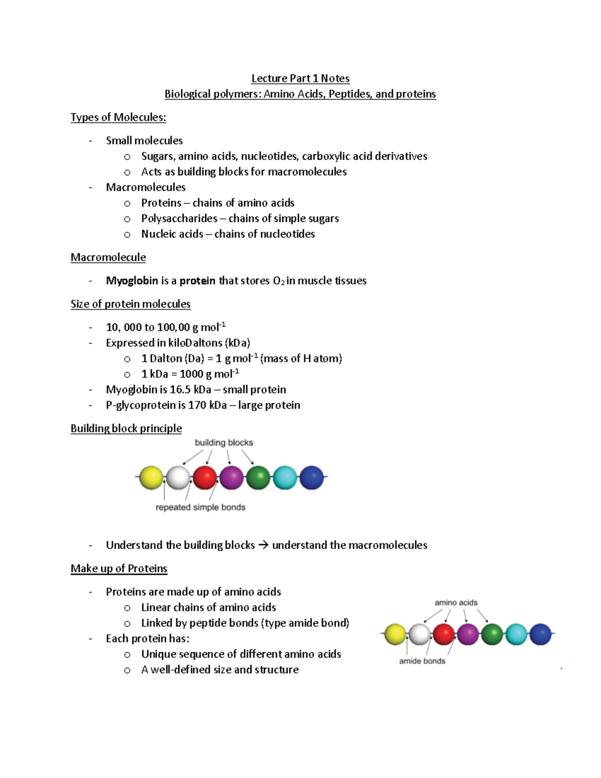 BIOC - Summary Notes - Lecture Part 1 Notes Biological Polymers: Amino ...