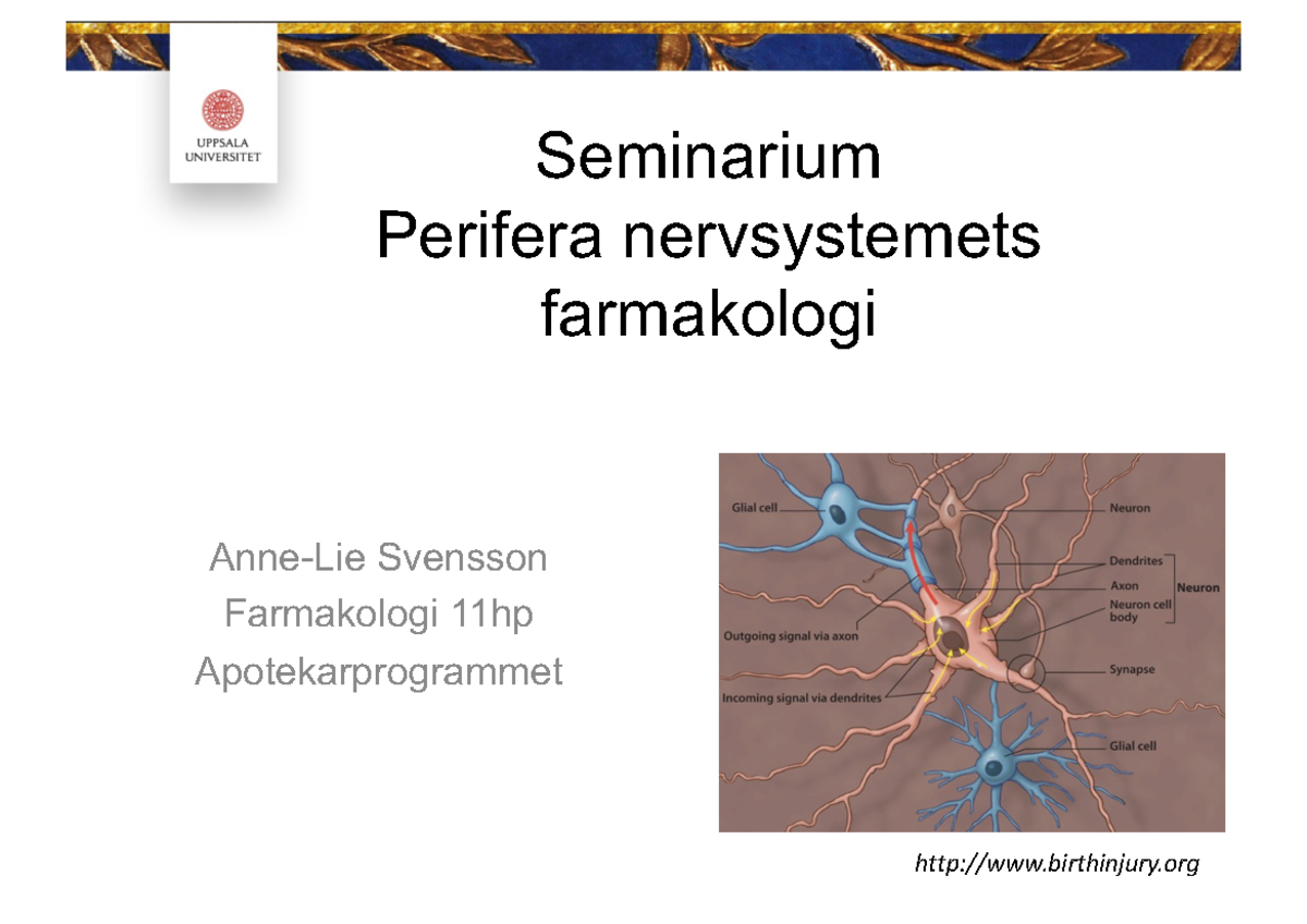 A3.Seminarium Perifera Nervsystemet HT22 - Seminarium Perifera ...