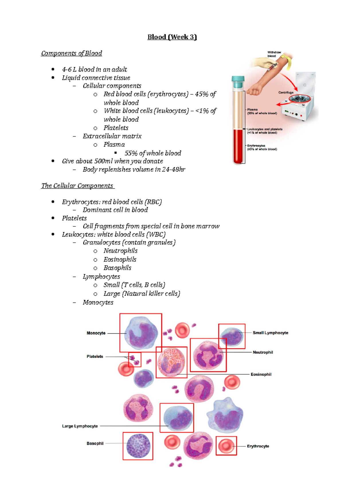 Lecture 9: Blood - Blood (Week 3) Components of Blood L blood in an ...