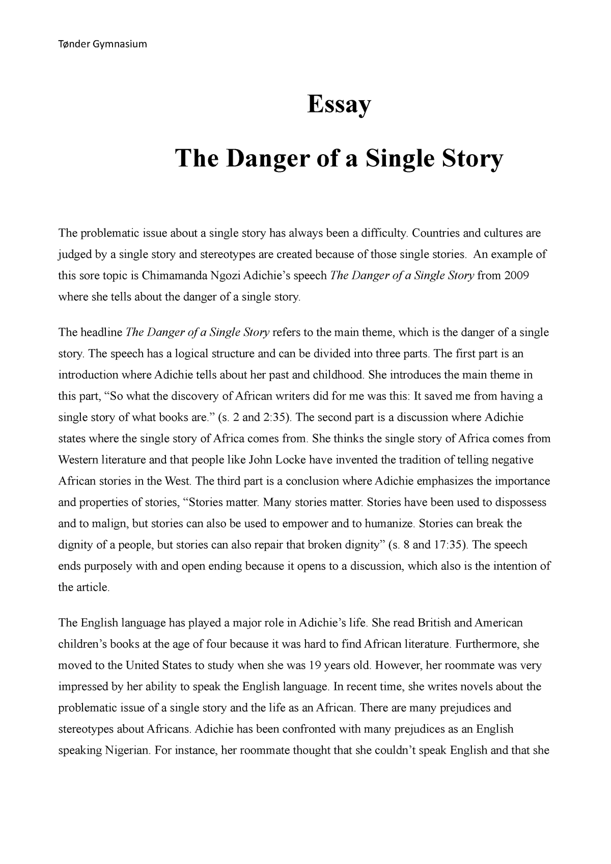 essay about a single story