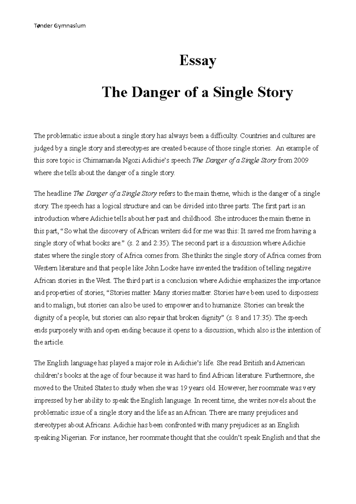 Essay The Danger Of A Single Story Tønder Gymnasium Essay The Danger Of A Single Story The 1994