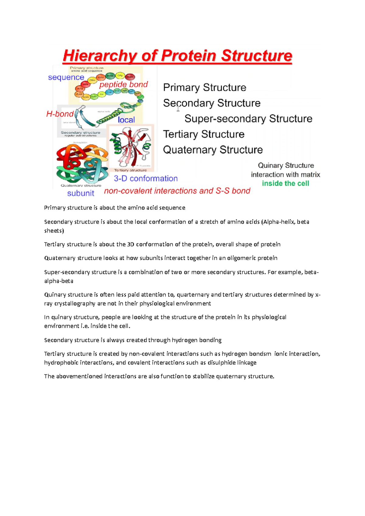 Lecture 1 - Primary structure is about the amino acid sequence ...
