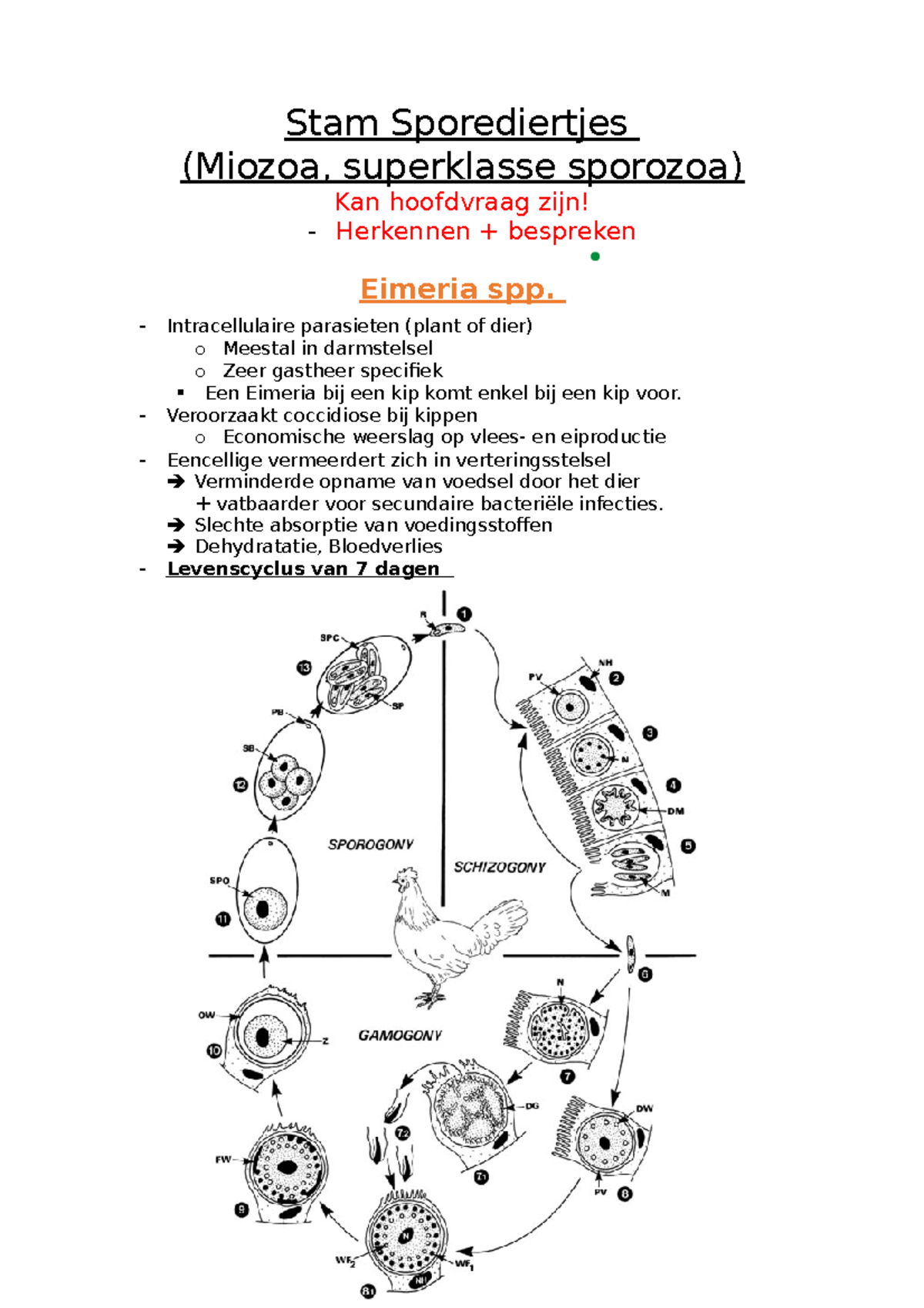 Stam Sporediertjes - Stam Sporediertjes (Miozoa, superklasse sporozoa ...